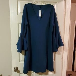 Ann Taylor Bell Sleeved Dress